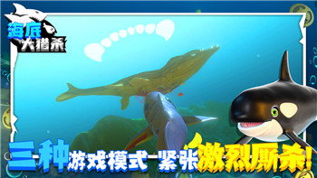 《影子武士2》刷正宗之球攻略：高效刷球技巧解析