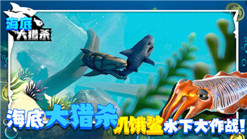《异度之刃2》异刃实力排名：含dlc最强搭配与策略